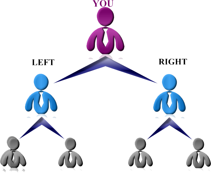 binary-mlm-plan